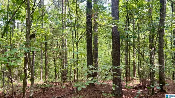 Fruithurst, AL 36262,OLD GEORGIA ROAD #17 Ac