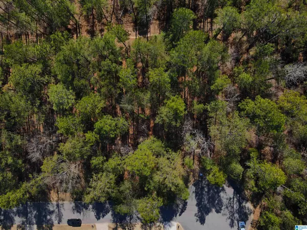 137 COVINGTON PLACE DRIVE #9, Columbiana, AL 35051
