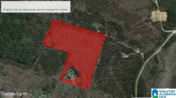 Nauvoo, AL 35578,204 COUNTY ROAD