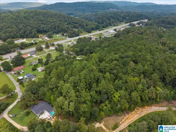 Allgood, AL 35013,0 CEDAR DRIVE #0