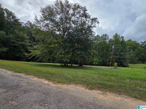 317 ROCKYVIEW ROAD #0, West Blocton, AL 35184