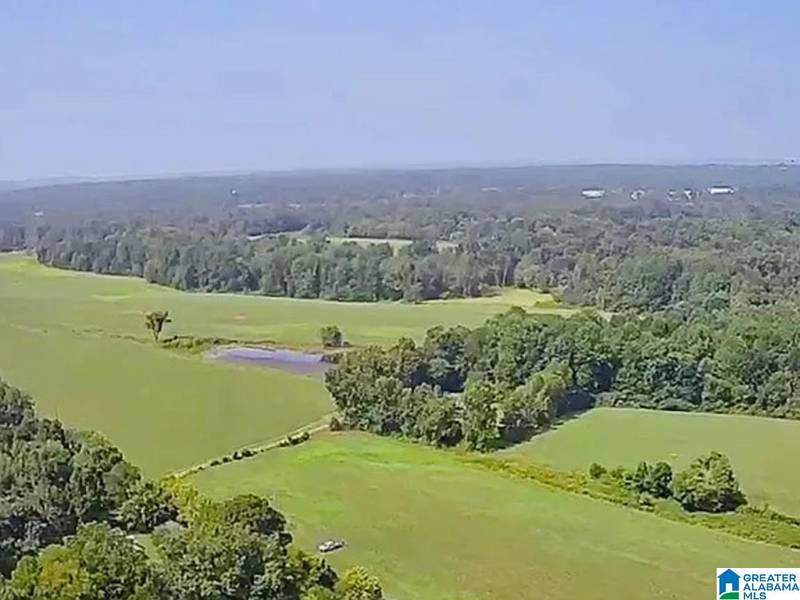 00 WOODLAND DRIVE #0, Ider, AL 35981