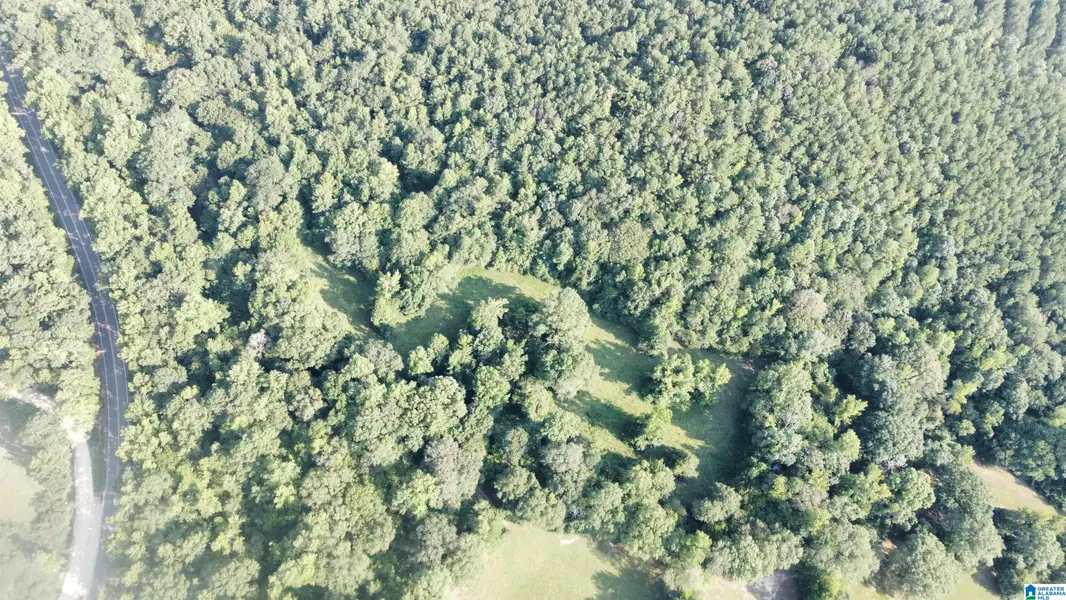 0 COUNTY ROAD 26 #n/a, Columbiana, AL 35051