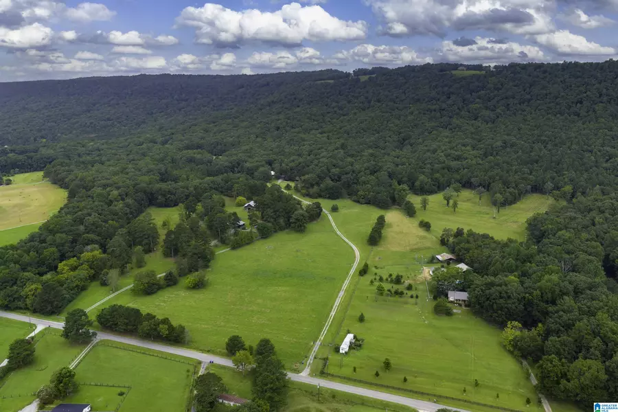 1187 CRAWFORDS COVE ROAD, Springville, AL 35146