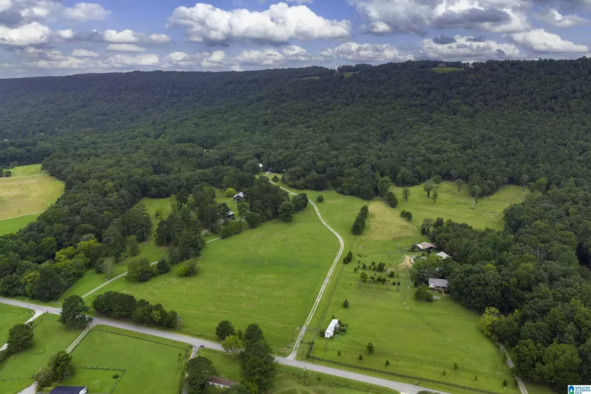 Springville, AL 35146,1187 CRAWFORDS COVE ROAD