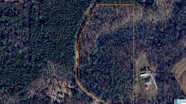Steele, AL 35987,LOOP ROAD #18+/- Acres