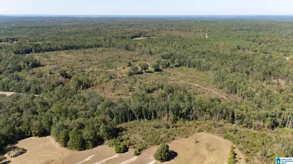 Lawley, AL 36793,226 HICKS HILL #None