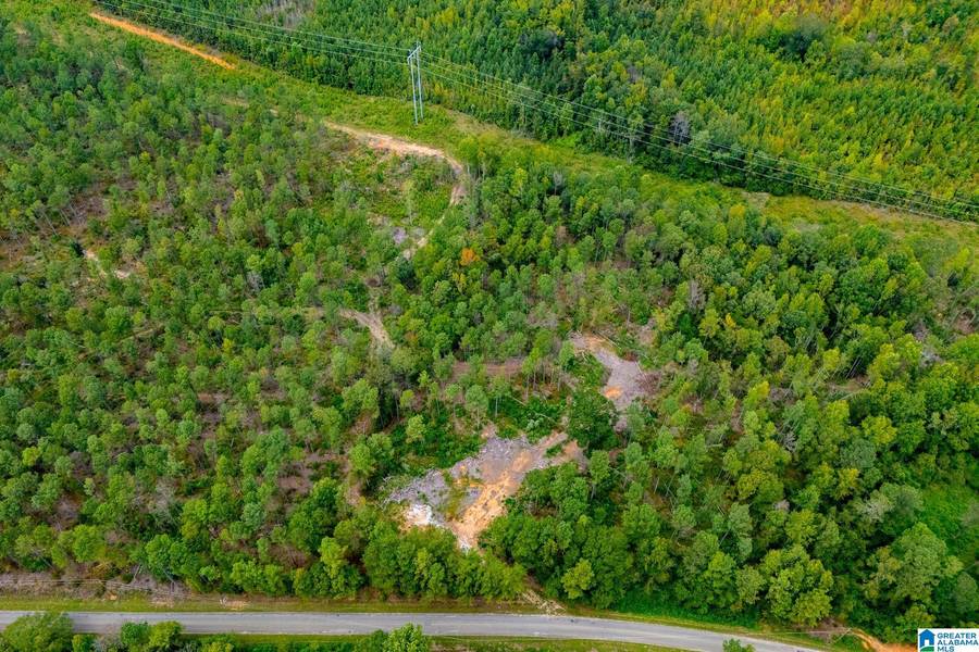 80.73 acres COUNTY ROAD 99 #00, Wedowee, AL 36278