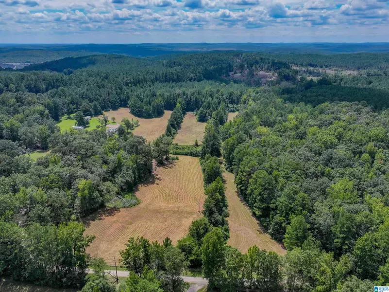 11643 CARTER ROAD #NA, Vance, AL 35490