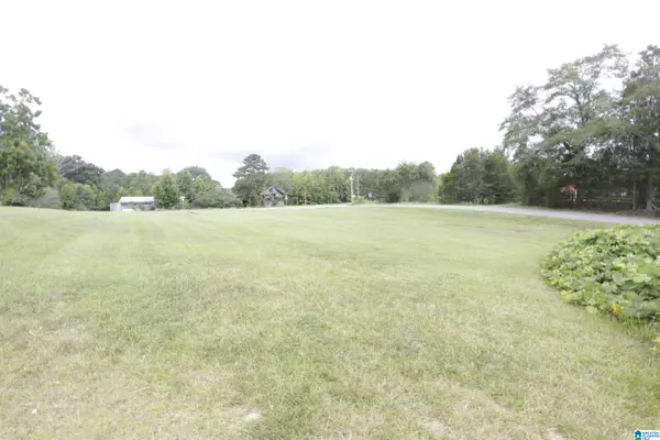 Wellington, AL 36279,1492 WEBSTERS CHAPEL ROAD #1