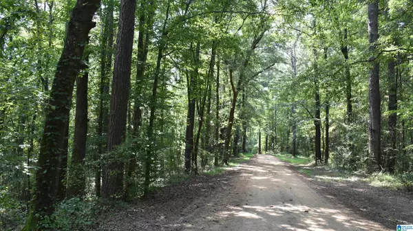 Chelsea, AL 35043,0 GARDNER DRIVE #0