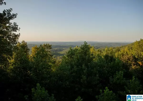 Lineville, AL 36266,1190 SKYWAY DRIVE