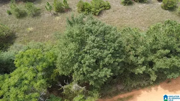 Prattville, AL 36067,0 COUNTY ROAD 43 #1