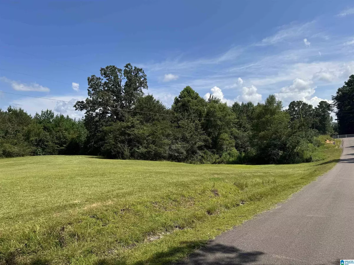 Vance, AL 35490,SHORT TOWN ROAD #123