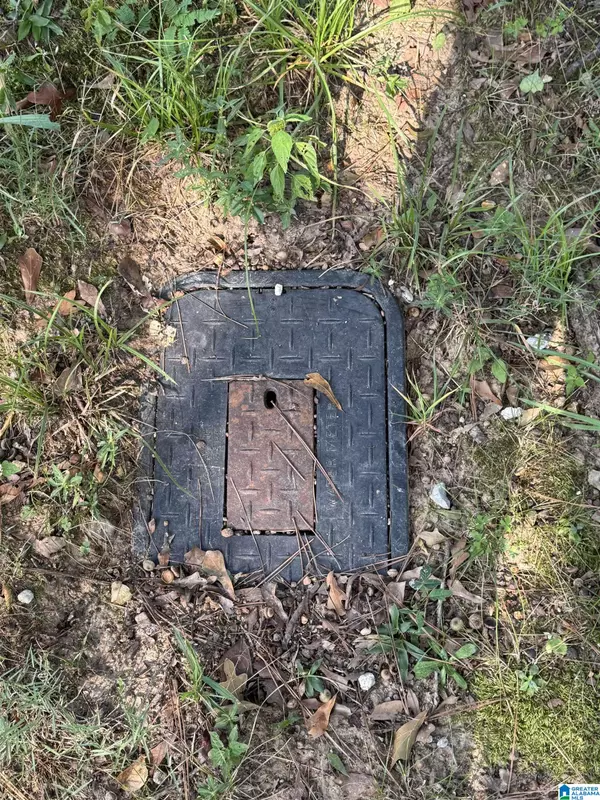 Piedmont, AL 36272,35 COUNTY ROAD 753 #0