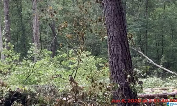 0 16TH STREET #11, Calera, AL 35040