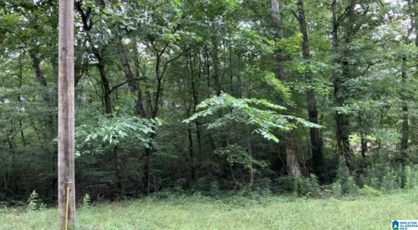 0 14TH STREET #13, Calera, AL 35040