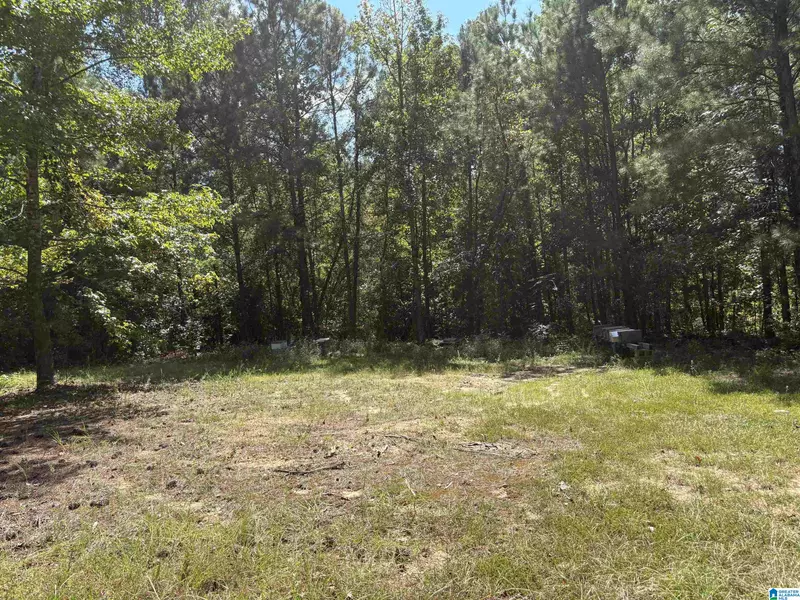 0 COUNTY ROAD 341 #1, Maplesville, AL 36750