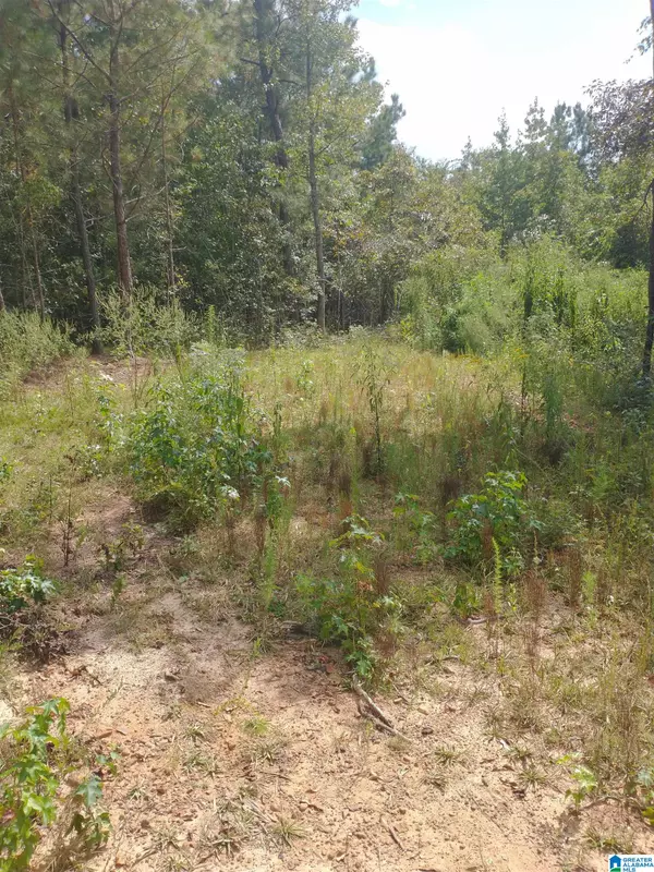 Alpine, AL 35014,004 SERENITY LANE #4