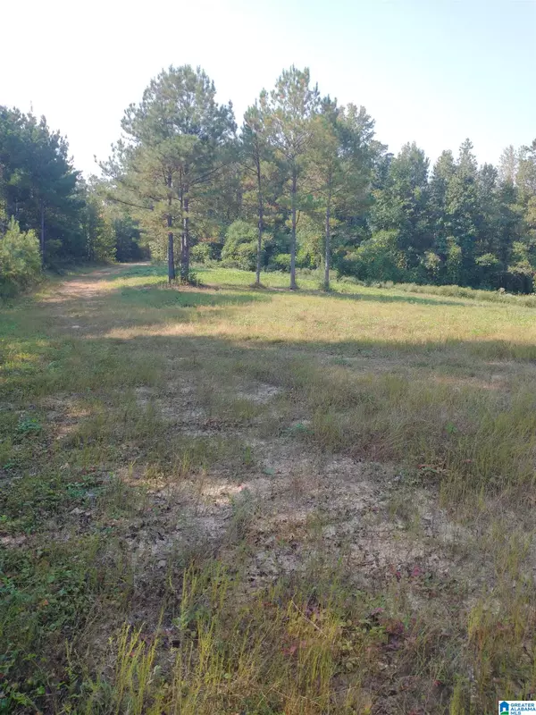 Riverside, AL 35135,008100 MCKESIE STREET #81 acres