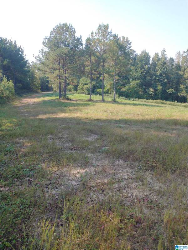 008100 MCKESIE STREET #81 acres, Riverside, AL 35135
