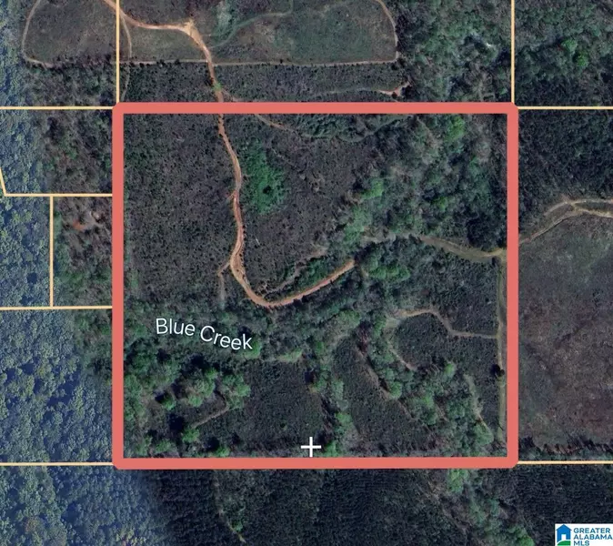 0 COUNTY ROAD 580 #0, Verbena, AL 36091