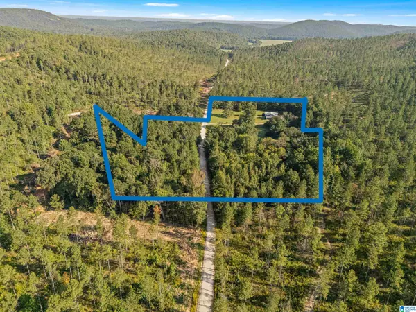 Piedmont, AL 36272,2250 COUNTY ROAD 175