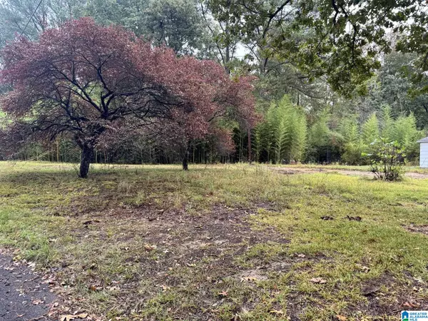 Mulga, AL 35118,159 BRANDY LANE #1