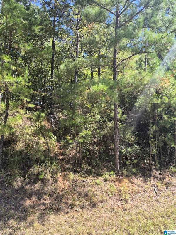 00 COUNTY ROAD 87 #1, Maplesville, AL 36750