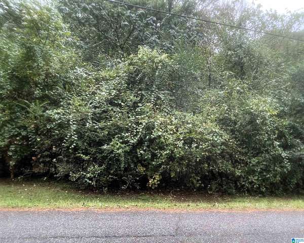 6838 OAK LEAF LANE #6838, Pinson, AL 35126