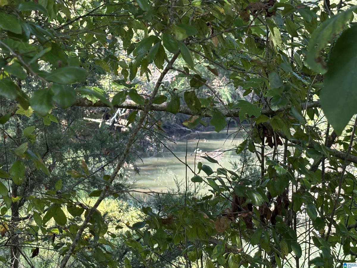 Ashville, AL 35953,HIGHWAY 23 #3