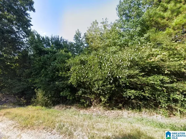 COUNTY ROAD 70 #-, Leesburg, AL 35983