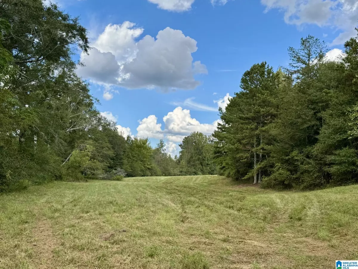 Lineville, AL 36266,0 HIGHWAY 48 #0