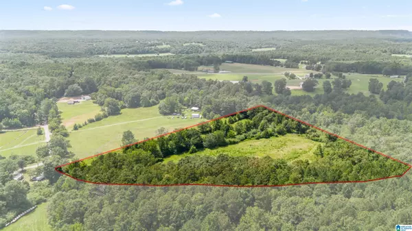 Hanceville, AL 35077,8.2AC COUNTY ROAD 501 #8.2
