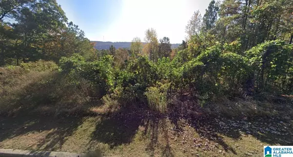 4449 EAGLE POINT DRIVE #-, Birmingham, AL 35242