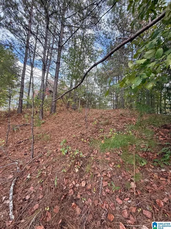 Chelsea, AL 35043,325 DEER RIDGE LANE #29