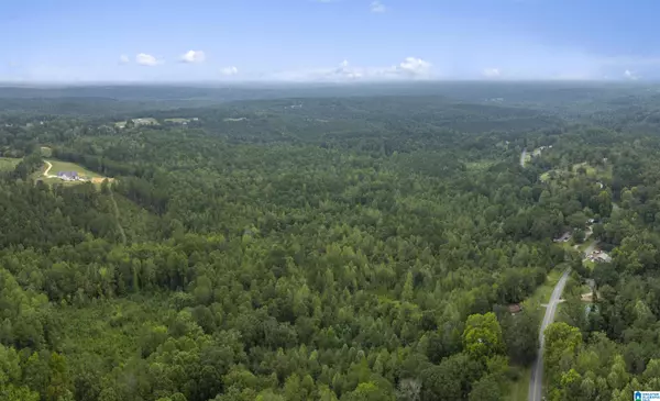 Haleyville, AL 35565,0 BEECH GROVE ROAD #1