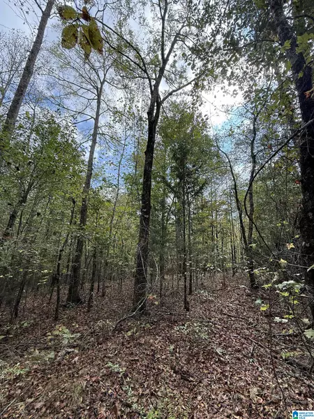 0 MUDD STREET #1, Lincoln, AL 35096