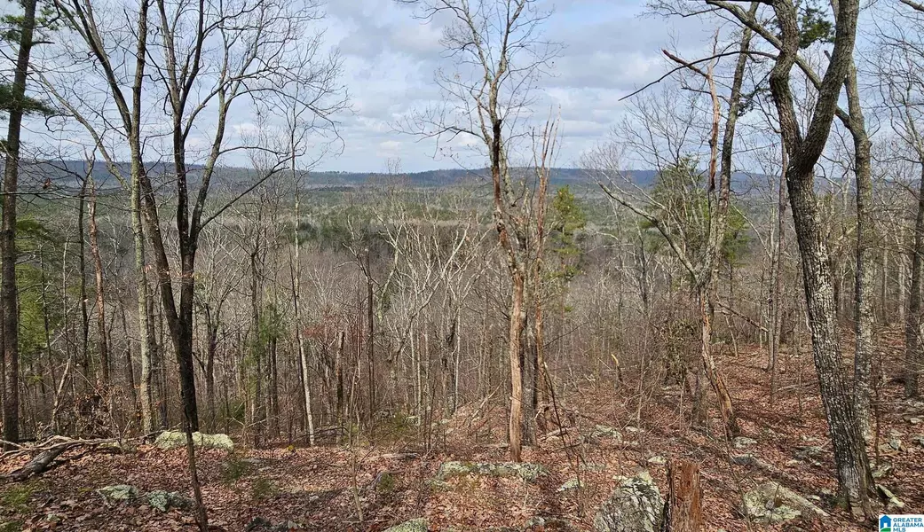 438 STONEGATE DRIVE #64 & 63, Birmingham, AL 35242