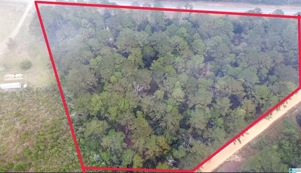 Dozier, AL 36028,0 OPP HIGHWAY #0