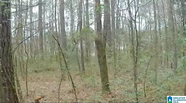 Oxford, AL 36203,0 LANE ROAD #0