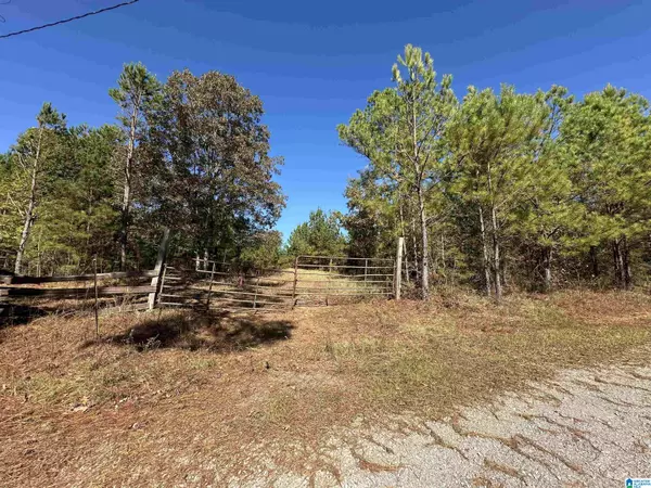 0 COUNTY ROAD 483 #0, Vincent, AL 35178