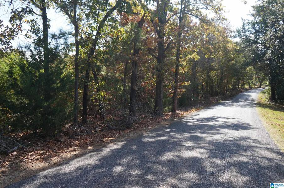 00 FULTON GAP ROAD #0, Sylacauga, AL 35150