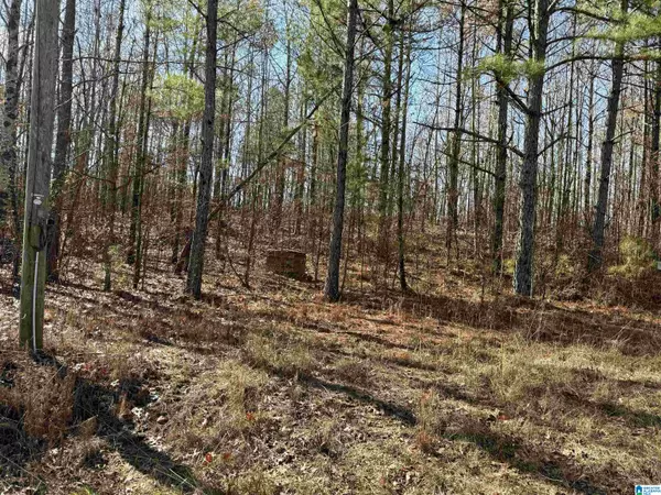 Sylacauga, AL 35150,1383 TRAMMELL MOTORWAY