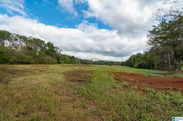 Lincoln, AL 35096,0 ALLRED ROAD #/Parcel #5