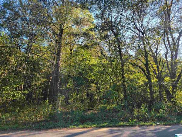 308 PINE STREET SW #024.001, Bessemer, AL 35022