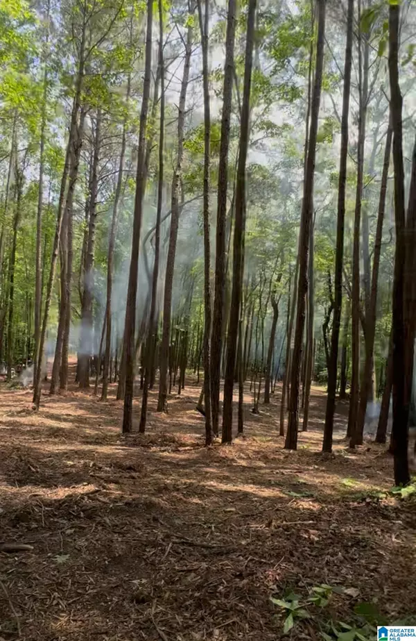 Vandiver, AL 35176,399 MAGNOLIA LANE #1