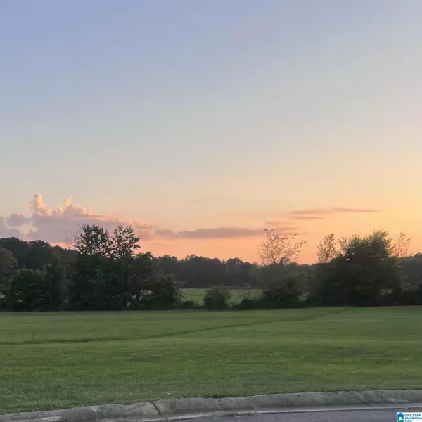 4901 MICHAEL DRIVE #Lot #1, Dora, AL 35062