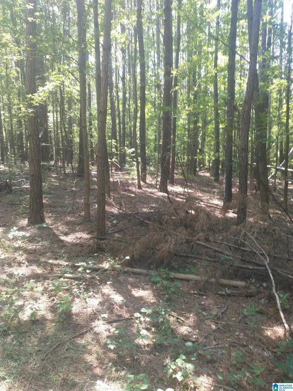 Weogufka, AL 35183,0020 COUNTY ROAD 150 #O