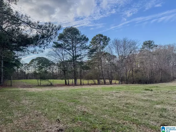 Trafford, AL 35172,10450 THERMAL ROAD